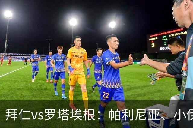 拜仁vs罗塔埃根：帕利尼亚、小伊布出战，比绍夫、帕维奇首发